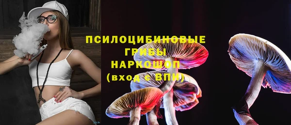 молекула духа Гусь-Хрустальный