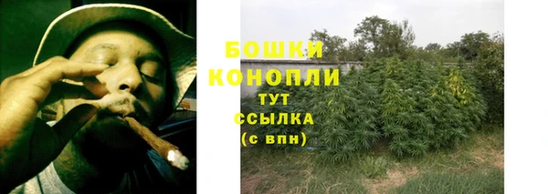 трава Гусев