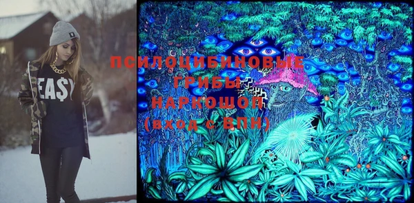молекула духа Гусь-Хрустальный