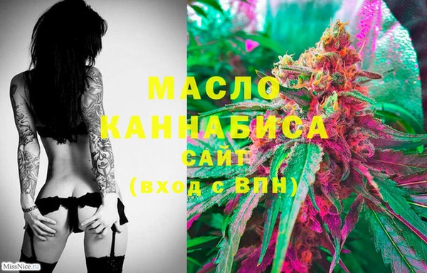 тгк Гусиноозёрск