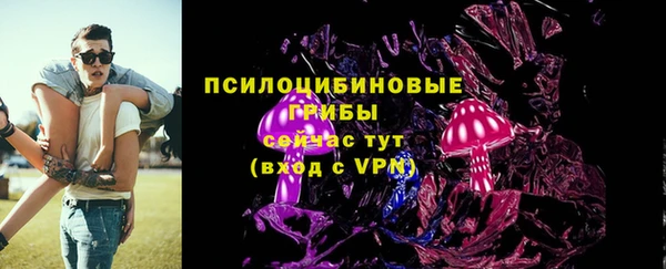 молекула духа Гусь-Хрустальный