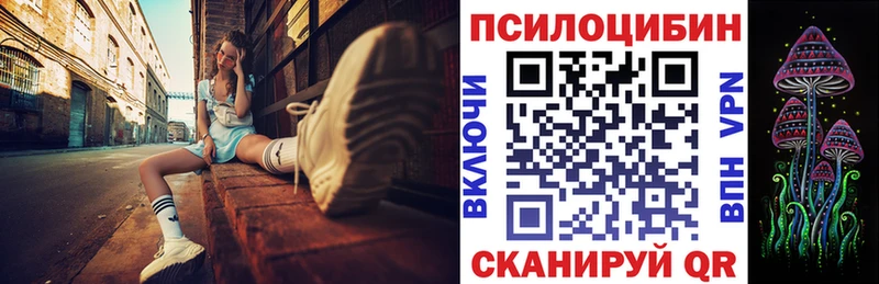 купить   Острогожск  omg ТОР  Псилоцибиновые грибы Cubensis 